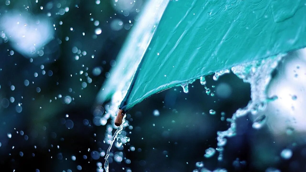 4 HOURS SILENT RAIN | QUIET RAIN | RAIN FOR SLEEP, STUDY LIVE
