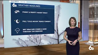 Rachel Garceau's Idaho News 6 forecast 12/29/20