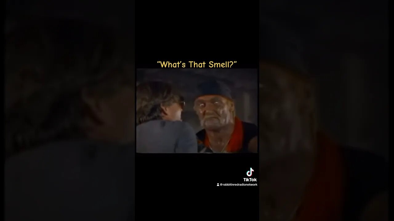 What’s That Smell? Hulk Hogan Dookie Clip No Holds Barred #wrestling