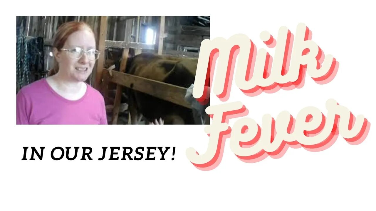 Milk Fever in our Jersey!