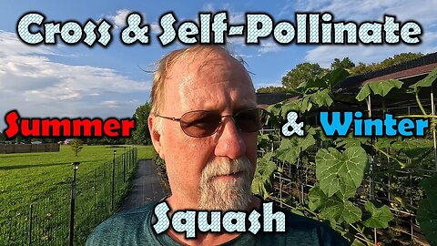 Cross & Self-Pollinating Squash (Saving Seed & Creating New Varieties)