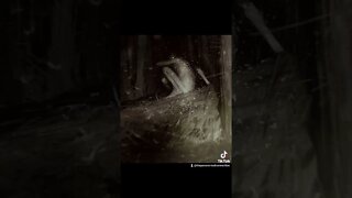 Haunted Locations