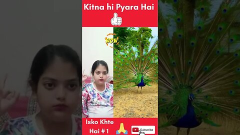 Isko Khte Hai #1 😂😜😜 #shorts #ytshorts #reaction #short #viral #youtubeshorts #26