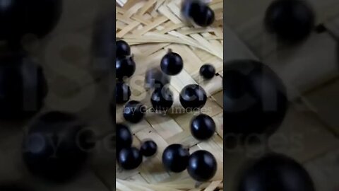 #blackcurrant #healthyfood #healthy #fruit#supportmychannel 🙏🙏🙏