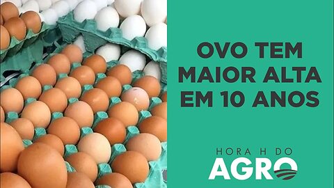 Ovo a R$ 1 a unidade? Preço sobe até 31% em um ano | HORA H DO AGRO