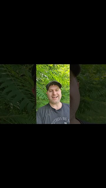 Those Not Spared | 2 Peter 2:4