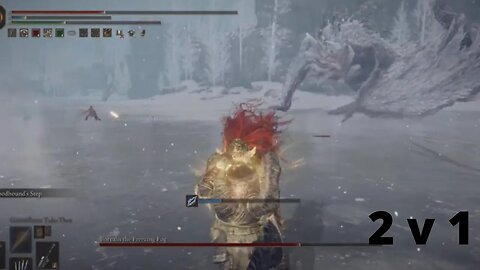 Frozen dragon and Friend vs Pros Elden Ring