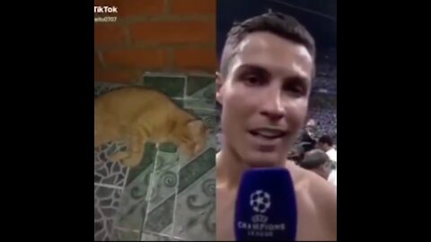 Cristiano said something about the cat.