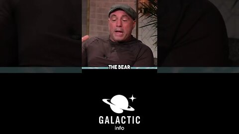 ..Why Joe Rogan is Scared of Bears 😳