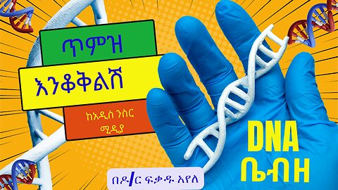 ጥምዝ እንቆቅልሽ(ቤ.ብ.ዘ/ዘረመል/DNA)