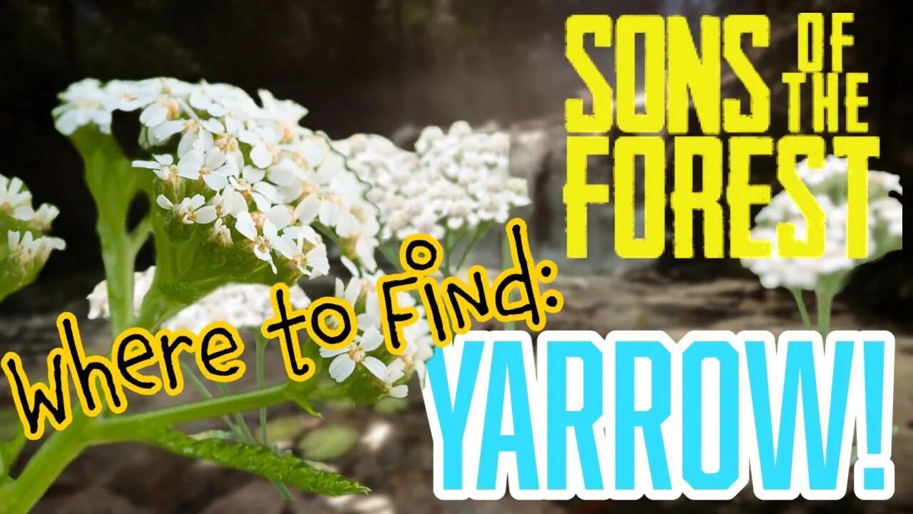 Sons of the Forest Where to Find Yarrow