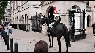 Tourist run when horse plays up#horseguardsparade