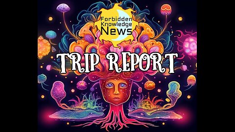 FKN Trip Report E4: Wizards of Perception | Stephen & Frank FearLess