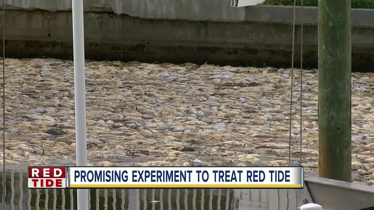 Respiratory problems in Pinellas due to red tide