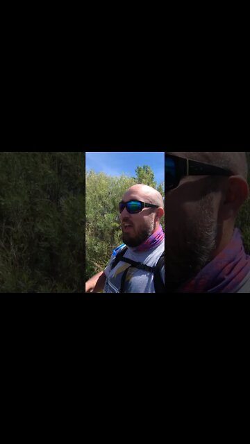 Bedding Colorado largemouth bass and SNAKES!