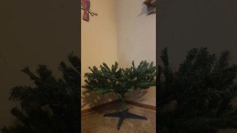 Thanksgiving is done... up goes THE TREE... lol