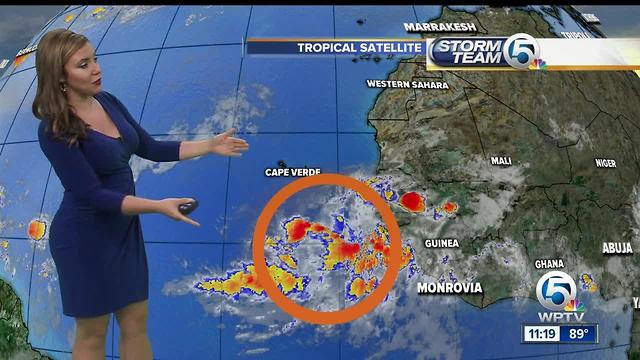 Keeping an eye on a tropical wave