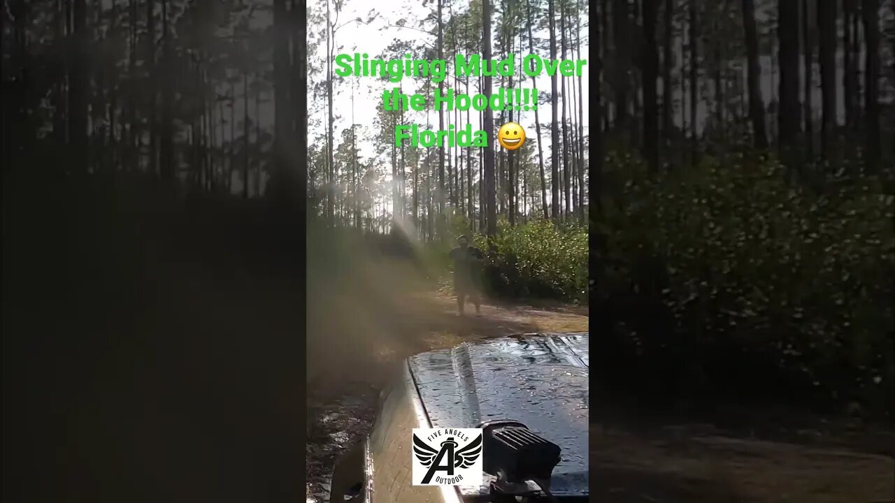 Mud and Water Crashing Over Hood of ZR2 Bison in Florida #shorts