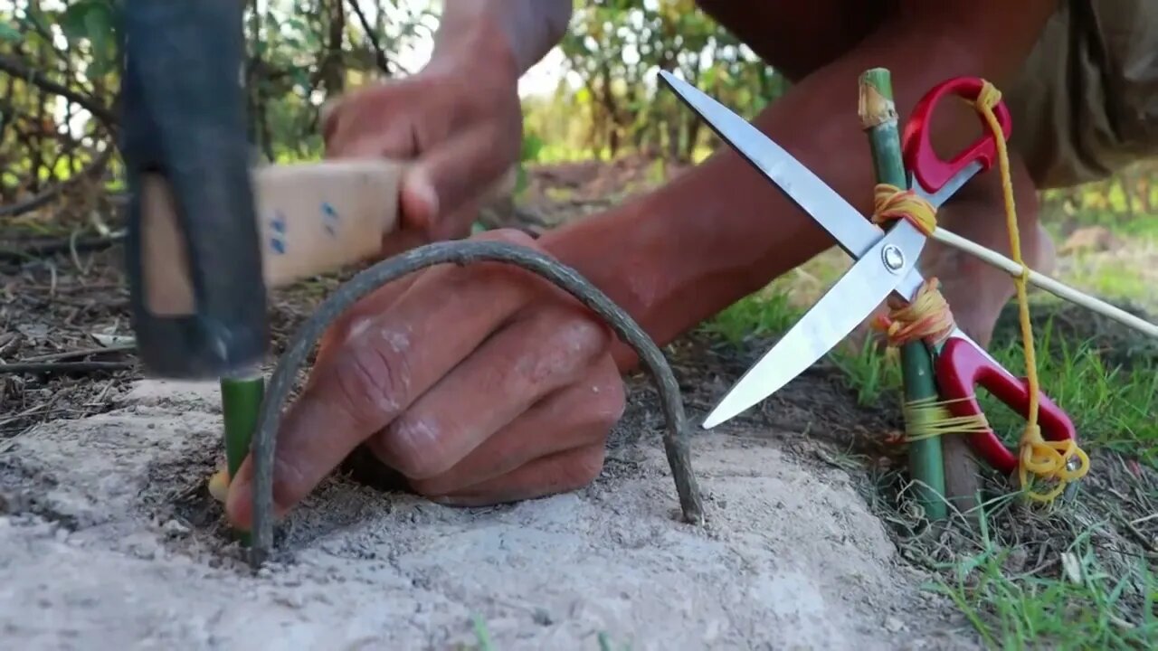 Easy Snake Trap Creative Method DIY Snake Trap Using Cutter That Work 100 9