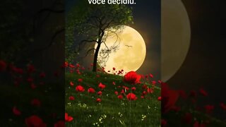 Músicas relaxantes, motivação, gratidão, músicas relaxantes para dormir