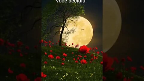 Músicas relaxantes, motivação, gratidão, músicas relaxantes para dormir