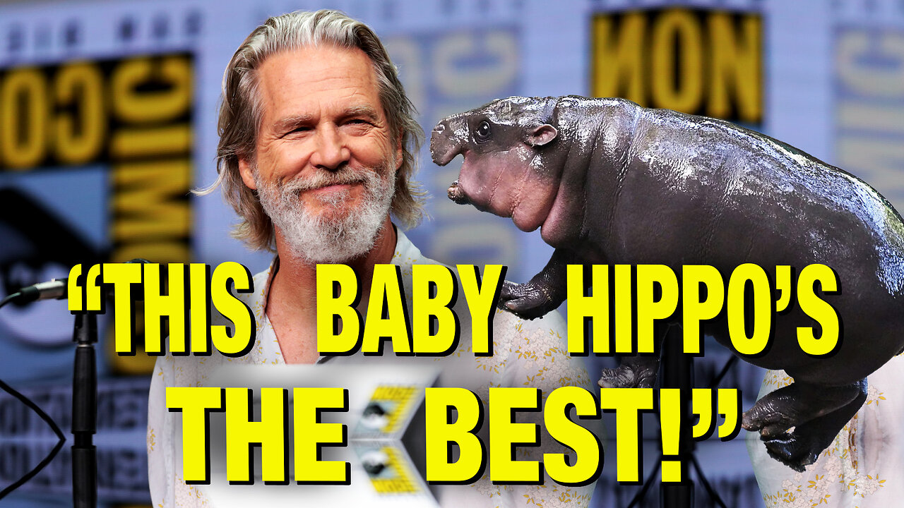 “This Baby Hippo Keeps Me From Stressing About Politics!” – Jeff Bridges