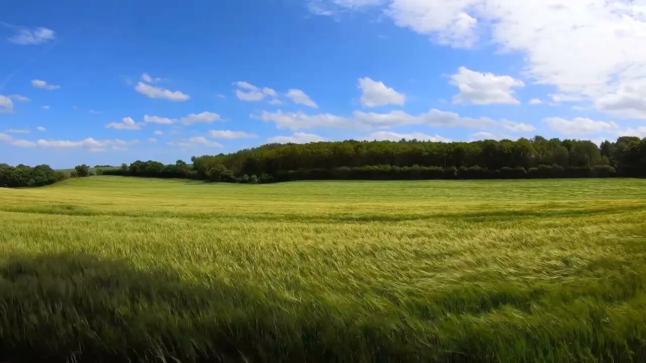 Calming Sounds of Wind on a Grassland - Soothing Sounds of Nature