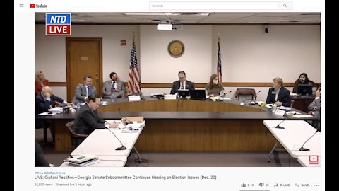 Georgia Senate Hearing - Data Analysts' Testimony 12/30