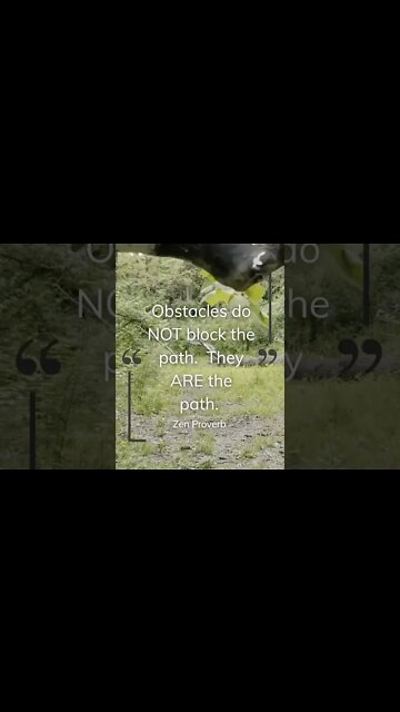 Obstacles Do NOT Block the Path. They ARE the Path. #shorts #zen #enlightenment