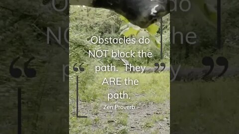 Obstacles Do NOT Block the Path. They ARE the Path. #shorts #zen #enlightenment