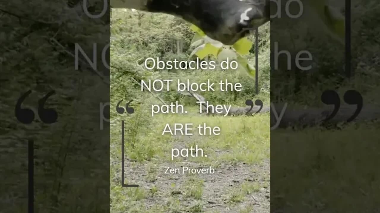 Obstacles Do NOT Block the Path. They ARE the Path. #shorts #zen #enlightenment