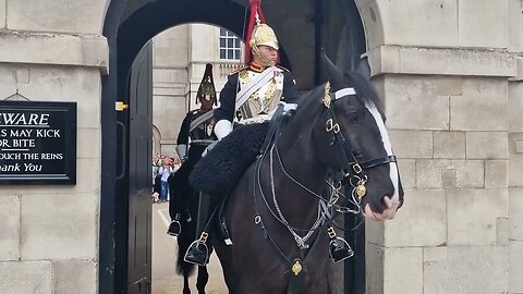 Move away from the horse why do have to kerp repeating myself #horseguardsparade