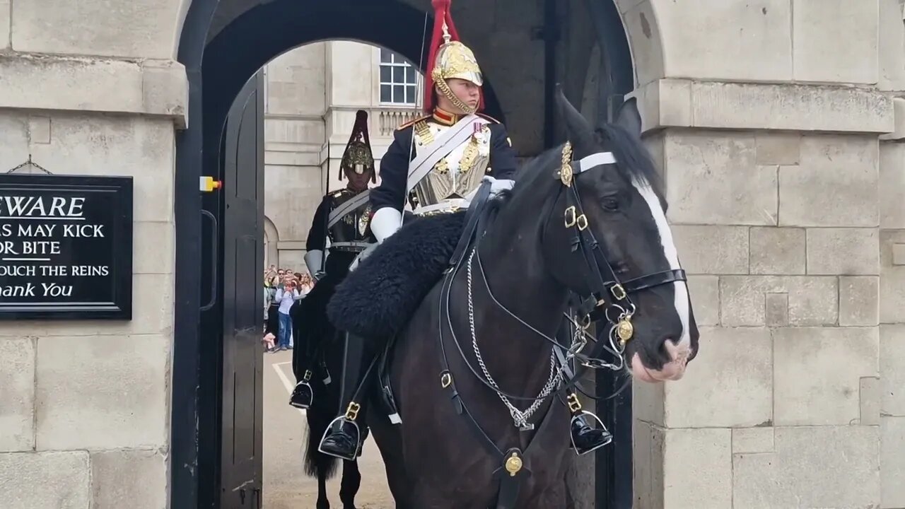 Move away from the horse why do have to kerp repeating myself #horseguardsparade