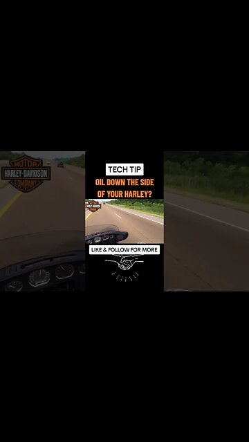 👀Oil On Your Harley? #shorts