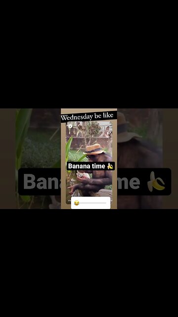 Banana time