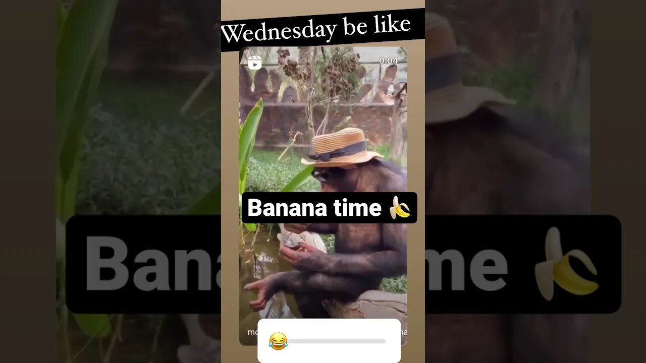 Banana time