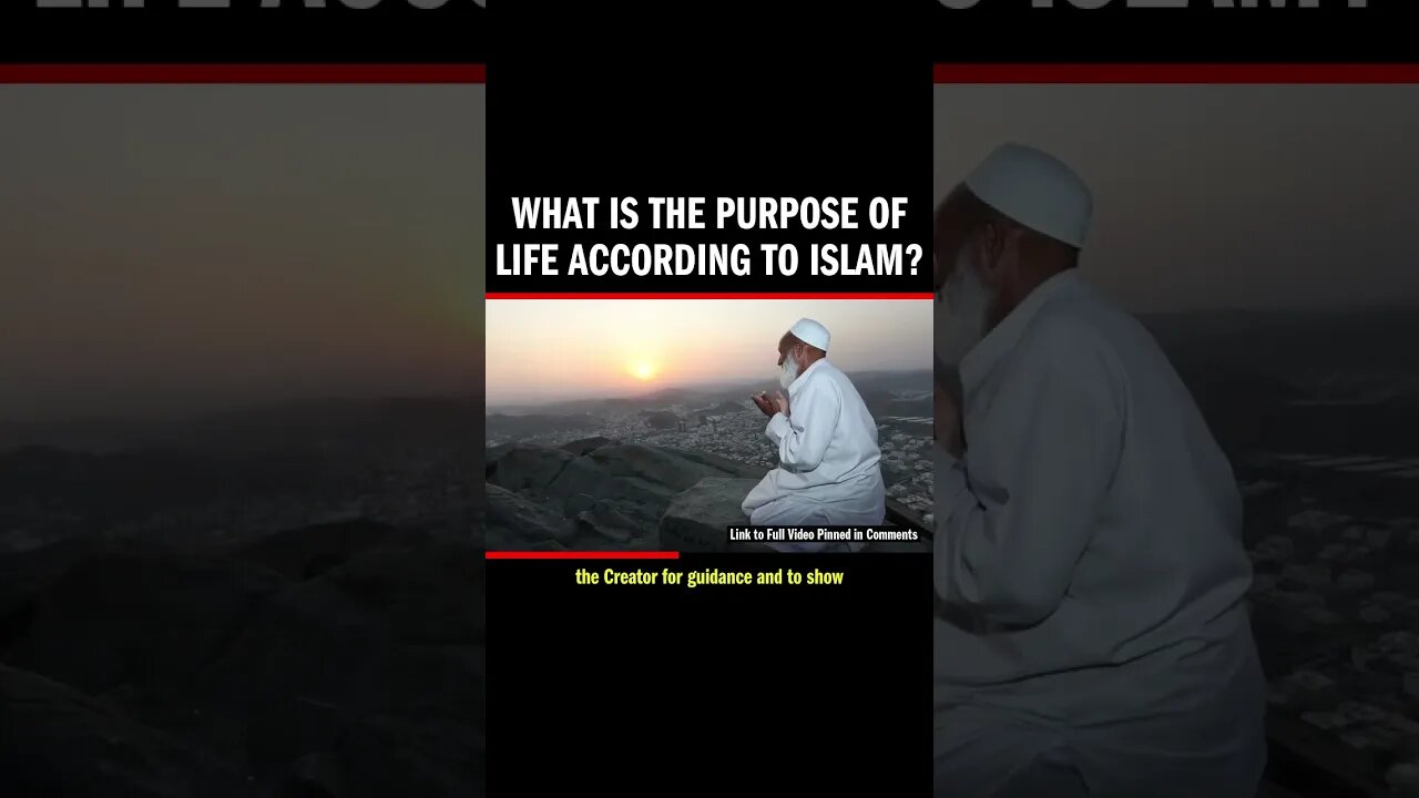 What is the PURPOSE of LIFE according to Islam?