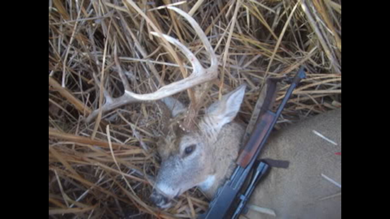 Big buck cattail hideaways