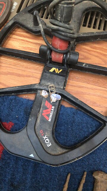 Tiny Roller buckle Equinox 15x12”coil￼