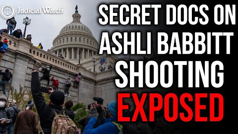 FITTON: NEVER-BEFORE-SEEN Docs Show "No Good Reason to Shoot & Kill" Ashli Babbitt