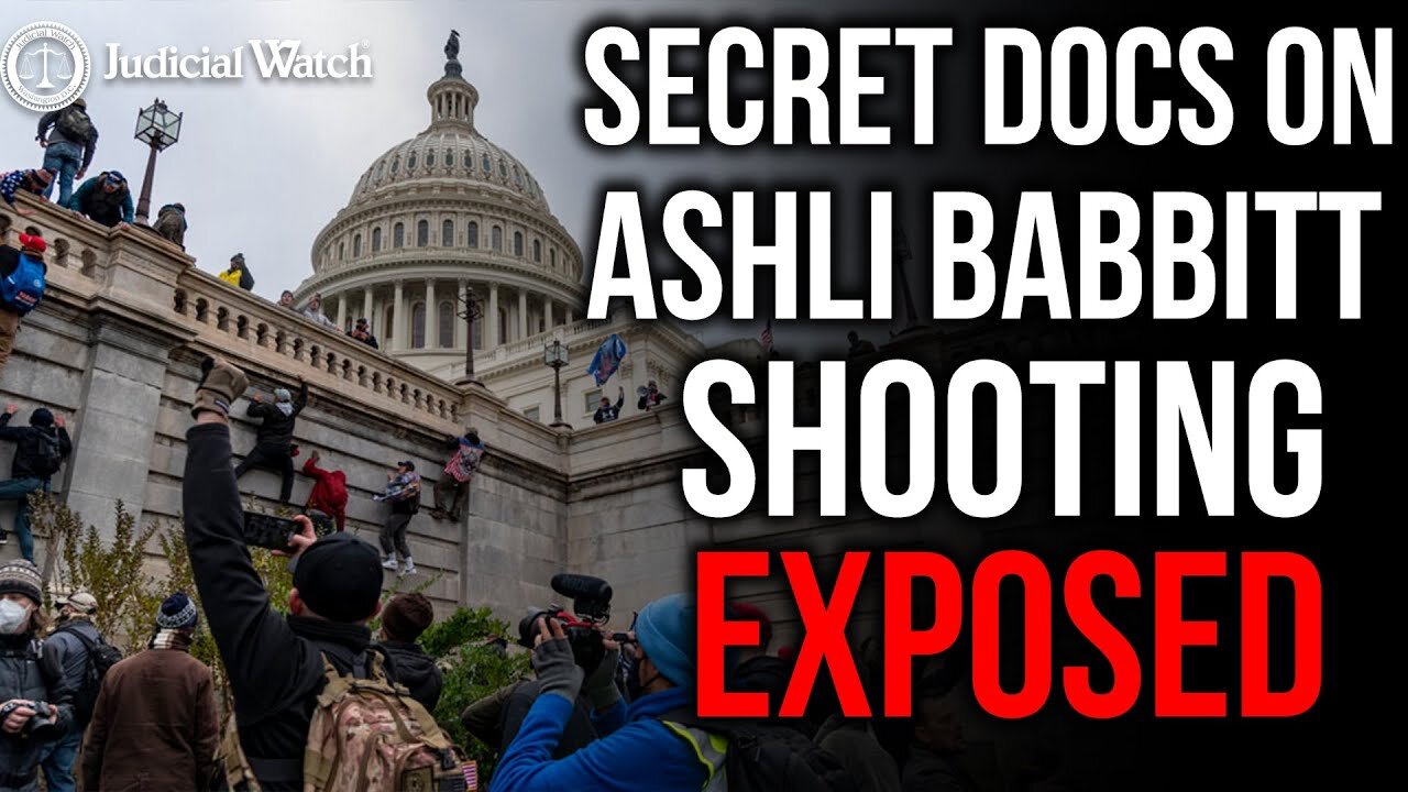 FITTON: NEVER-BEFORE-SEEN Docs Show "No Good Reason to Shoot & Kill" Ashli Babbitt