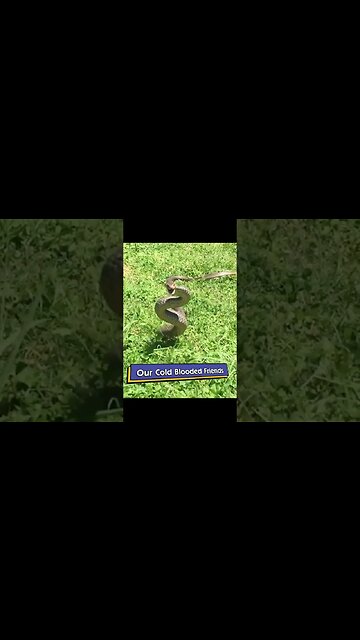 Ooo my god 😲 what heppenඅනේ දෙයියනේ 😲 මොකද උනේ ओह माय गॉड 😲 क्या हुआ