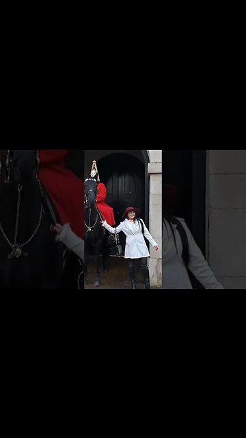 guard shouts get off the reins at tourist #horseguardsparade