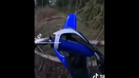The Trip