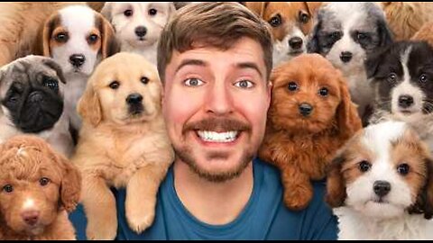I Rescued 100 Abandoned Dogs!