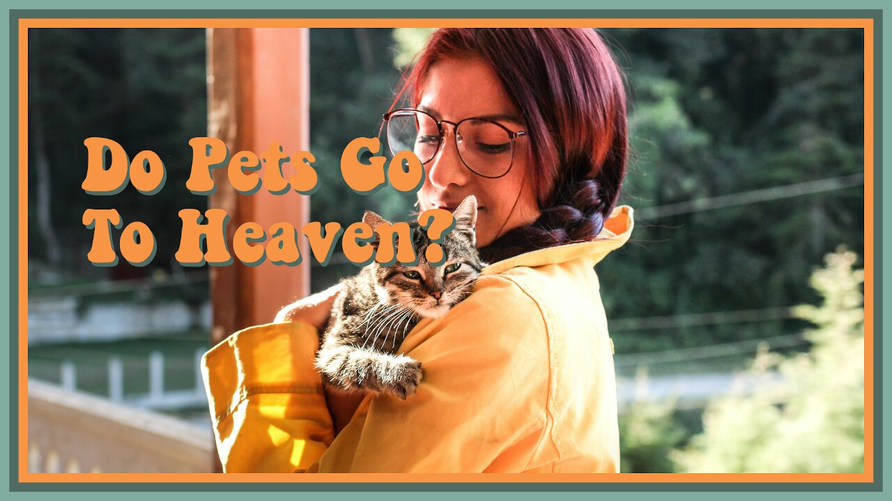 Do Pets Go To Heaven?