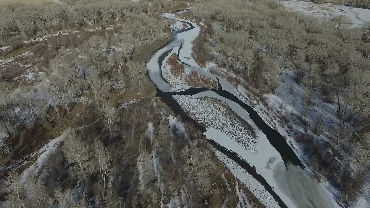 Coyote Sighting on Drone Cam! 3 or 4 Legs?