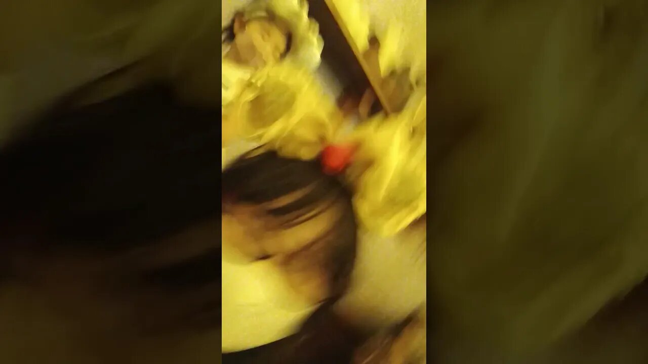 #etsukojunio #etsukofans #fransiscaofficial #teamfransisca #沉连清 #fransisca #fransiscametaworld