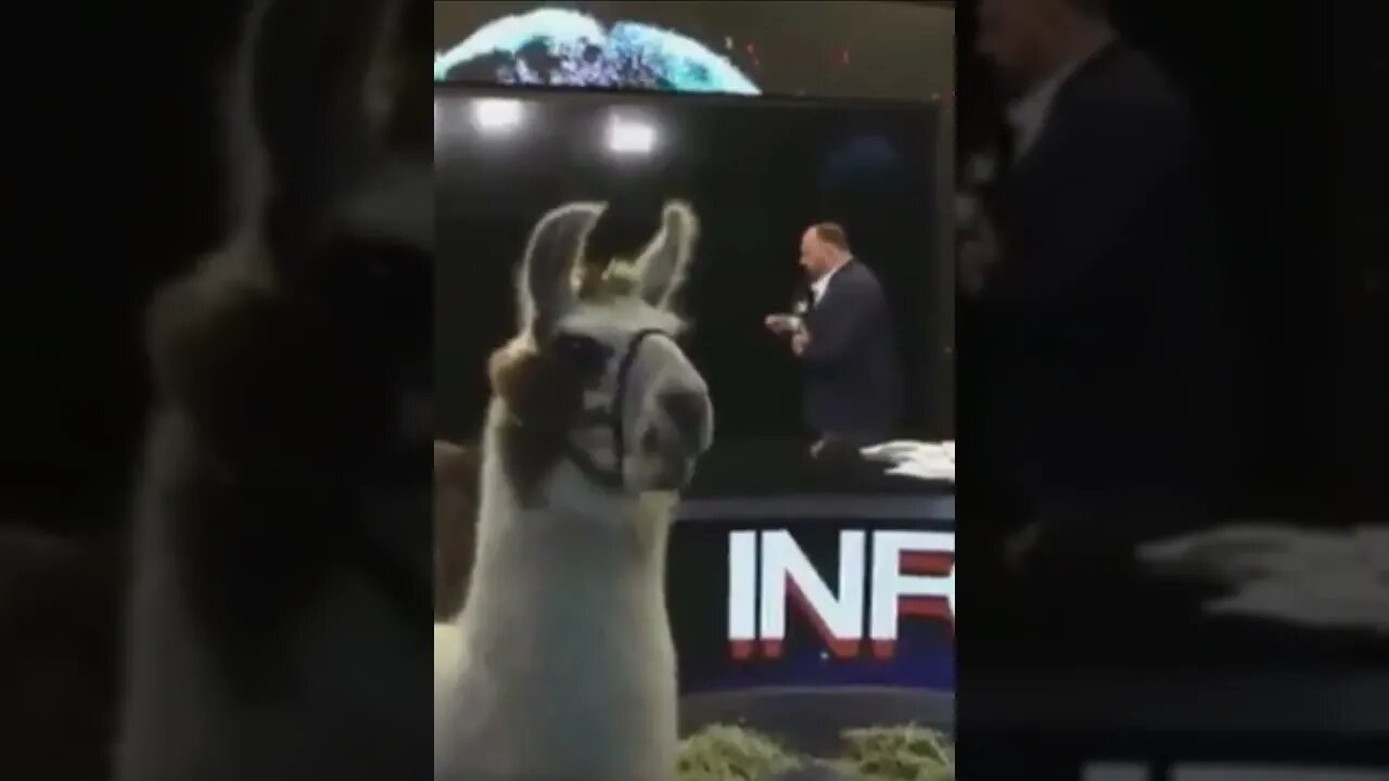 Alex Jones Now Has The Powers of Llamas!