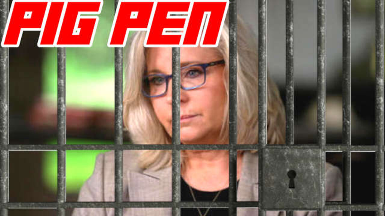 Liz Cheney is Concerned She's About to be Arrested